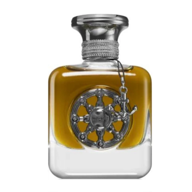 Aurora Scents Voyager Black edp 100ml Hombre - Aurora Scents - Default Title - Perfumisimo