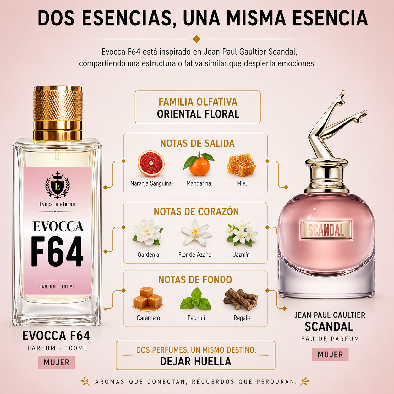 Evocca F64 Parfum 100ml Mujer (Jean Paul Gaultier Scandal)