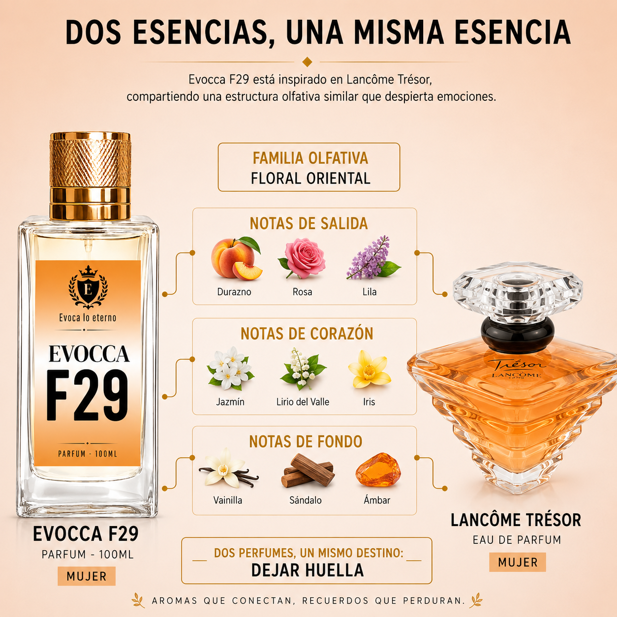 Evocca F29 Parfum 100ml Mujer (Lancome Tresor)