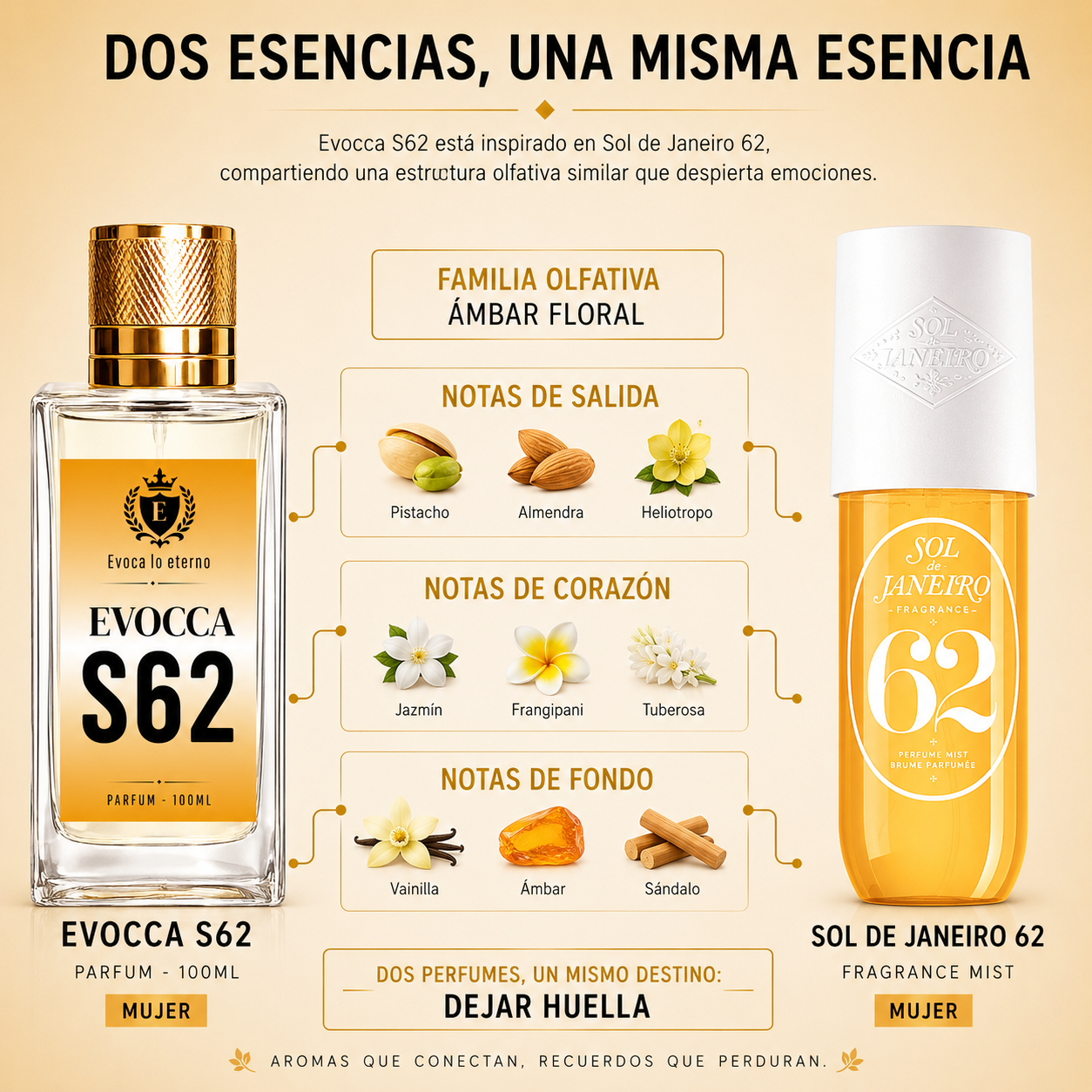 Evocca S62 Parfum 100ml Mujer (Sol de Janeiro 62)