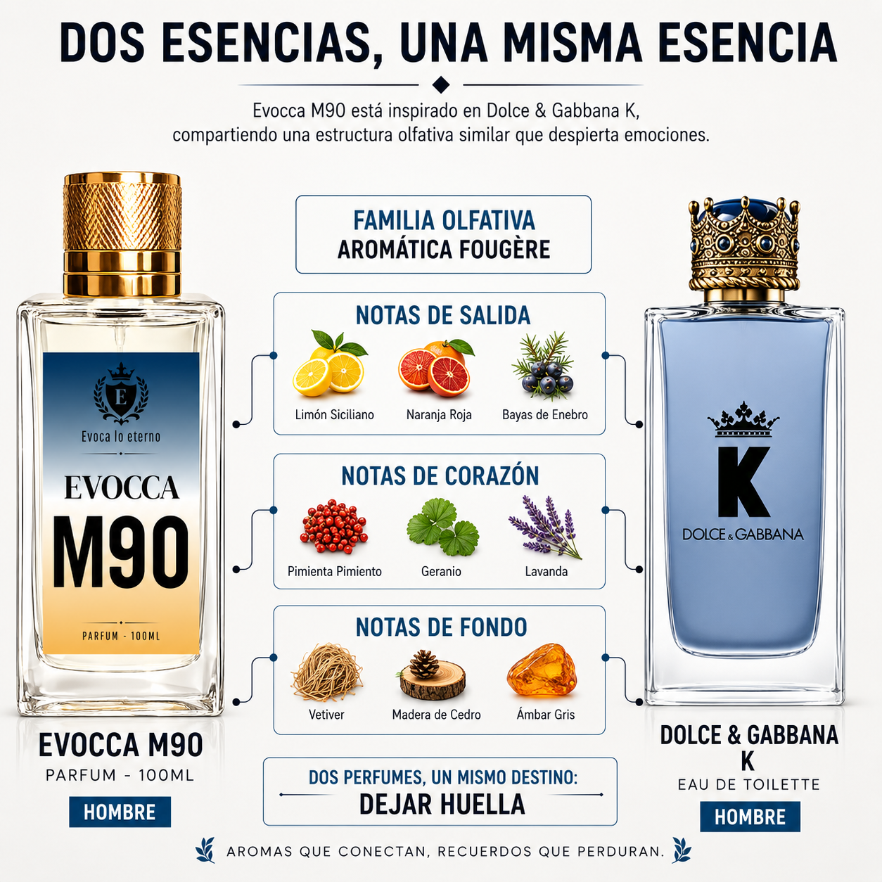 Evocca M90 Parfum 100ml Hombre (Dolce & Gabbana K)