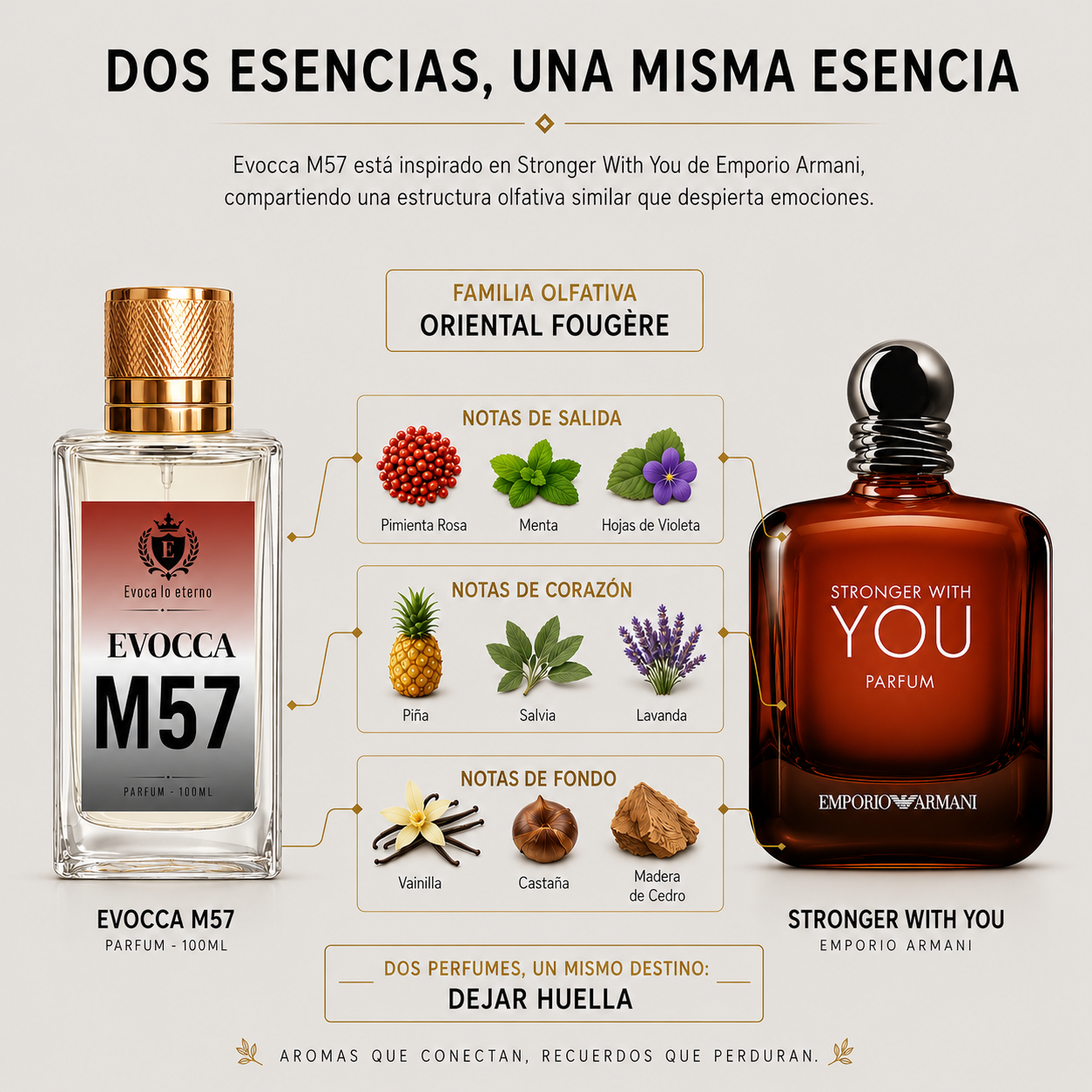 Evocca M57 Parfum 100ml Hombre (Armani Stronger With You)