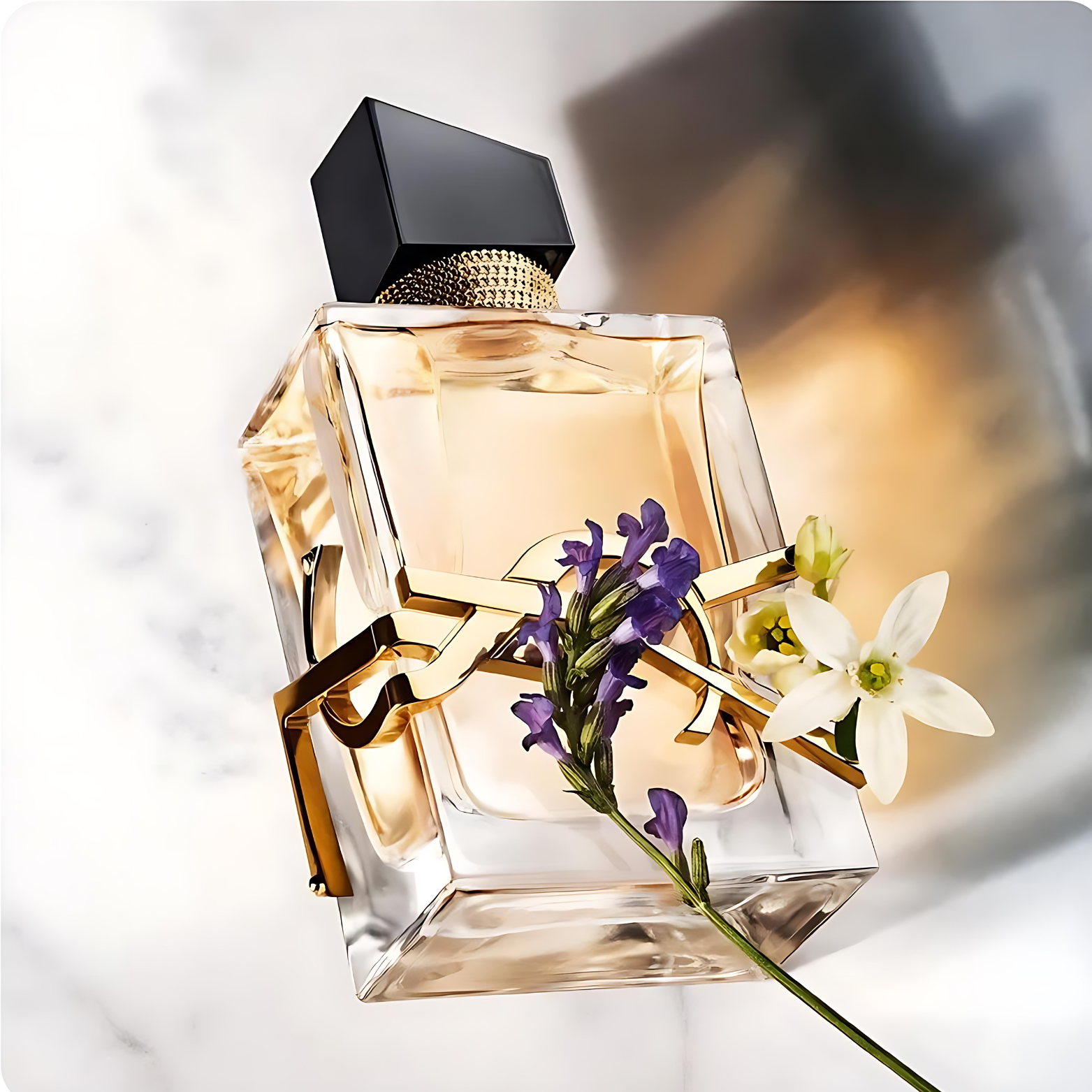 Yves Saint Laurent Libre edp 30ml Mujer