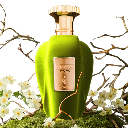 Paris Corner Voux Zingy Emir edp 100ml Unisex
