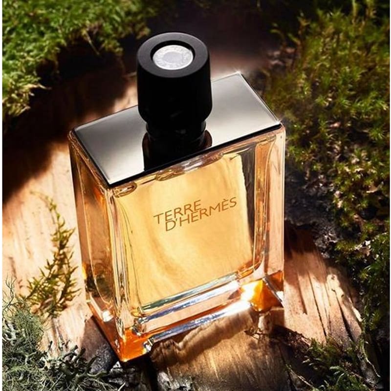 Hermes Terre D’Hermes edt 50ml Hombre - Perfumisimo