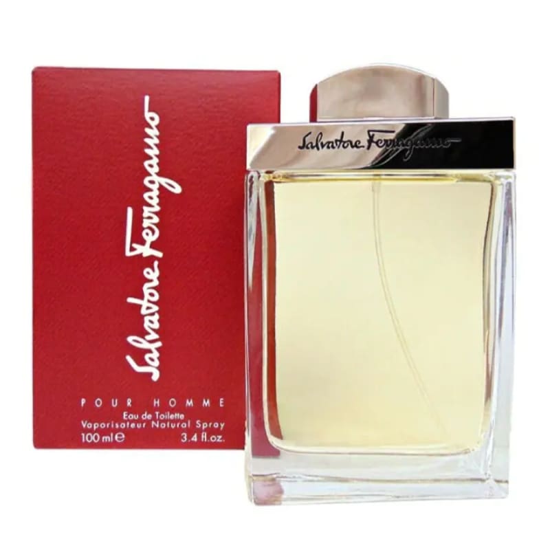 Salvatore Ferragamo Pour Homme edt 100ml Hombre - Perfumisimo