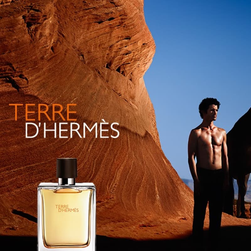 Terre D'hermes edt 100ml Hombre