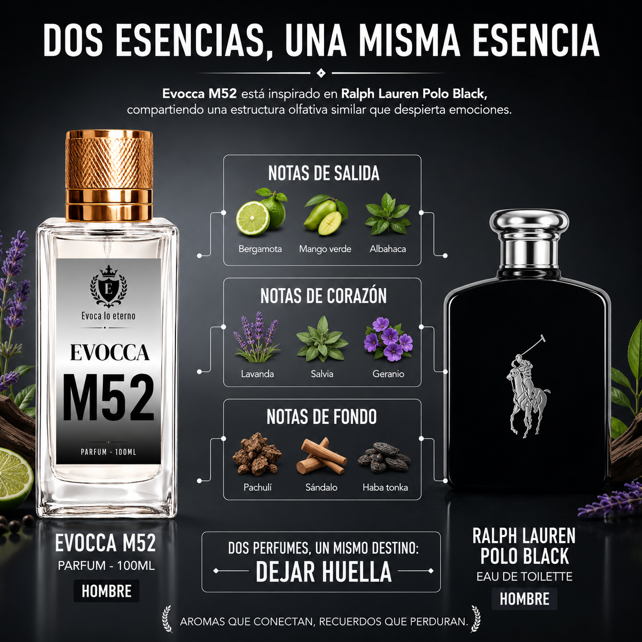 Evocca M52 Parfum 100ml Hombre (Ralph Lauren Polo Black)