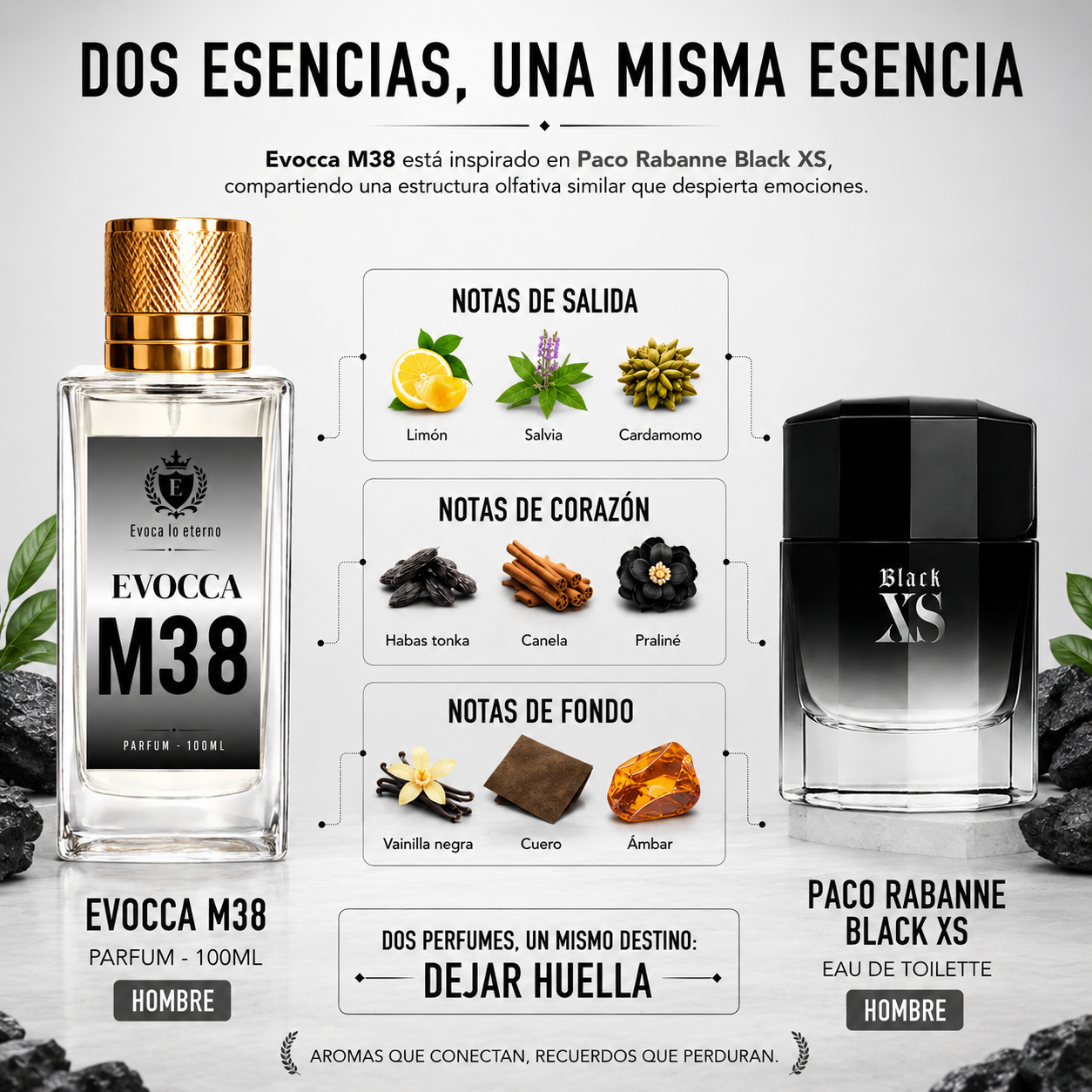 M38 Parfum 100ml Hombre (Paco Rabanne Black XS)