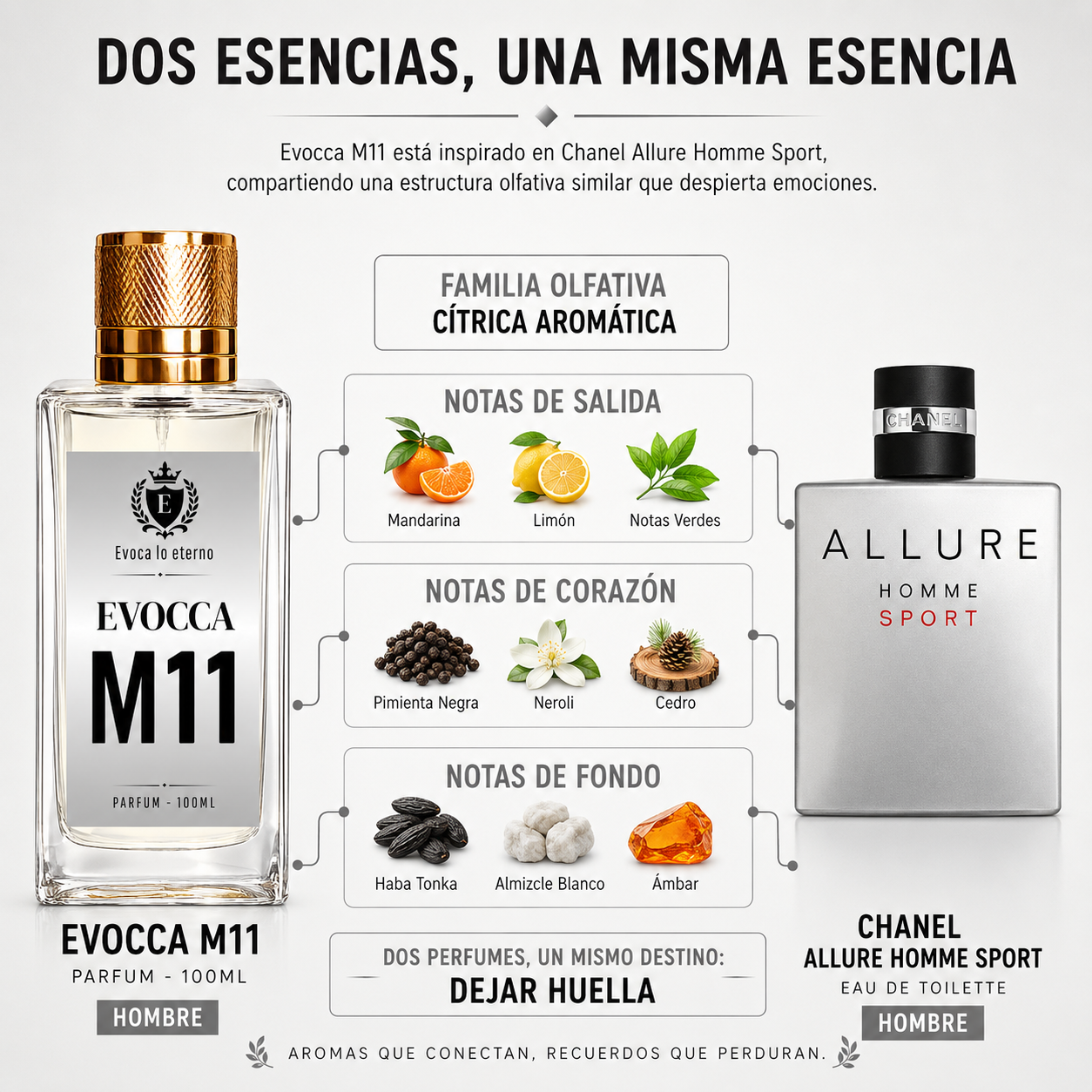Evocca M11 Parfum 100ml Hombre (Chanel Allure Sport)