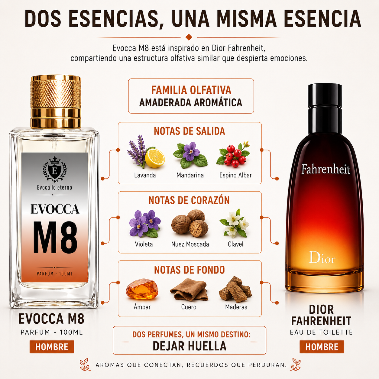 Evocca M8 Parfum 100ml Hombre (Dior Fahrenheit)