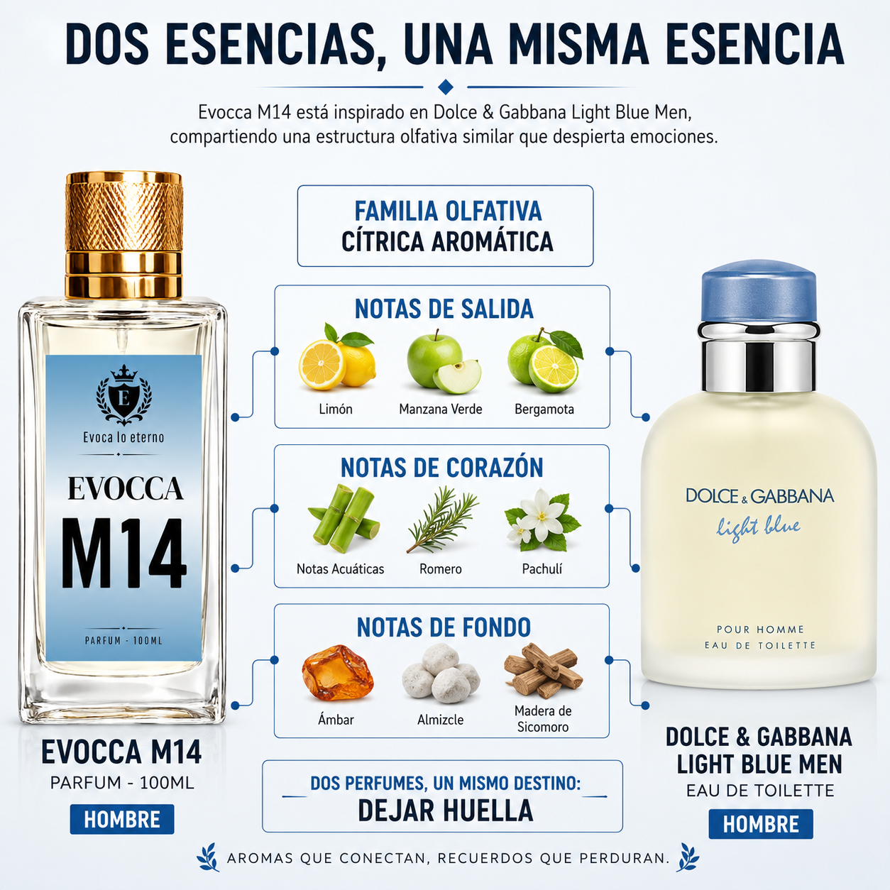 Evocca M14 Parfum 100ml Hombre (Dolce & Gabbana Light Blue)