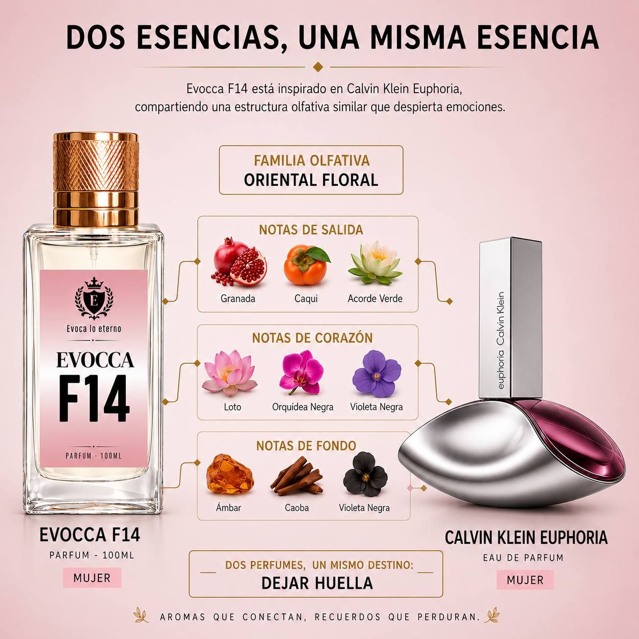 Evocca F14 Parfum 100ml Mujer (CK Euphoria mujer)