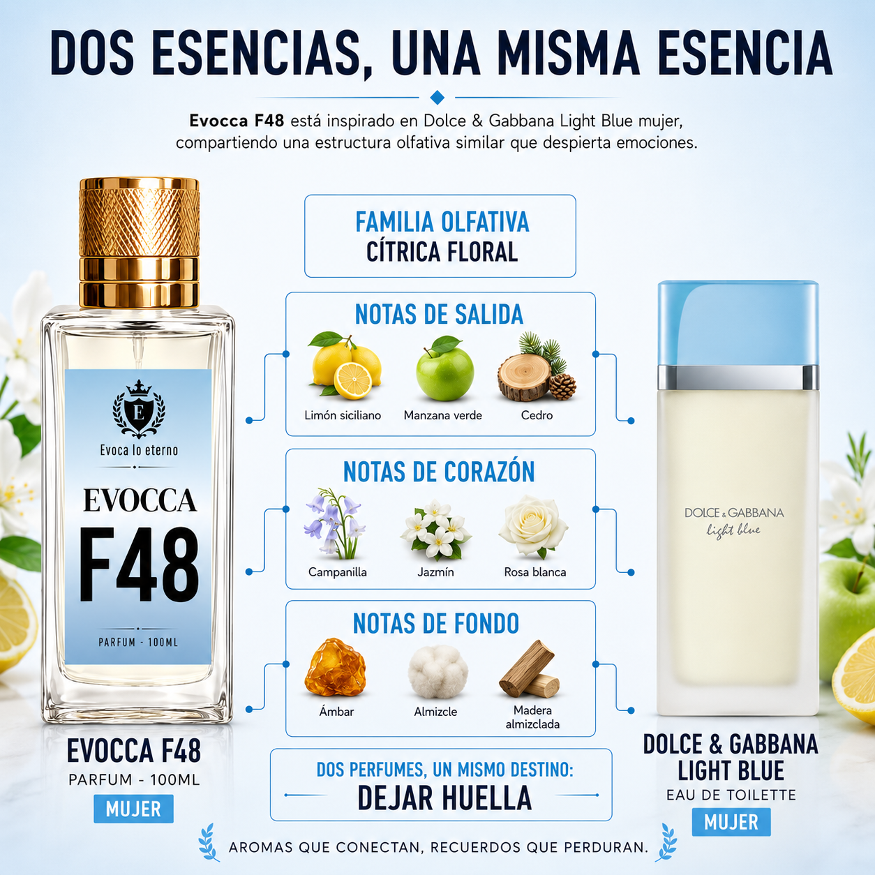 Evocca F48 Parfum 100ml Mujer (Dolce & Gabbana Light Blue)