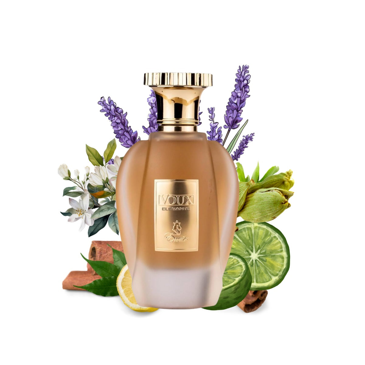 Paris Corner Voux Elegante Emir edp 100ml Unisex