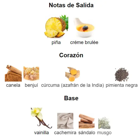 Un Viaje Sensorial a la Elegancia