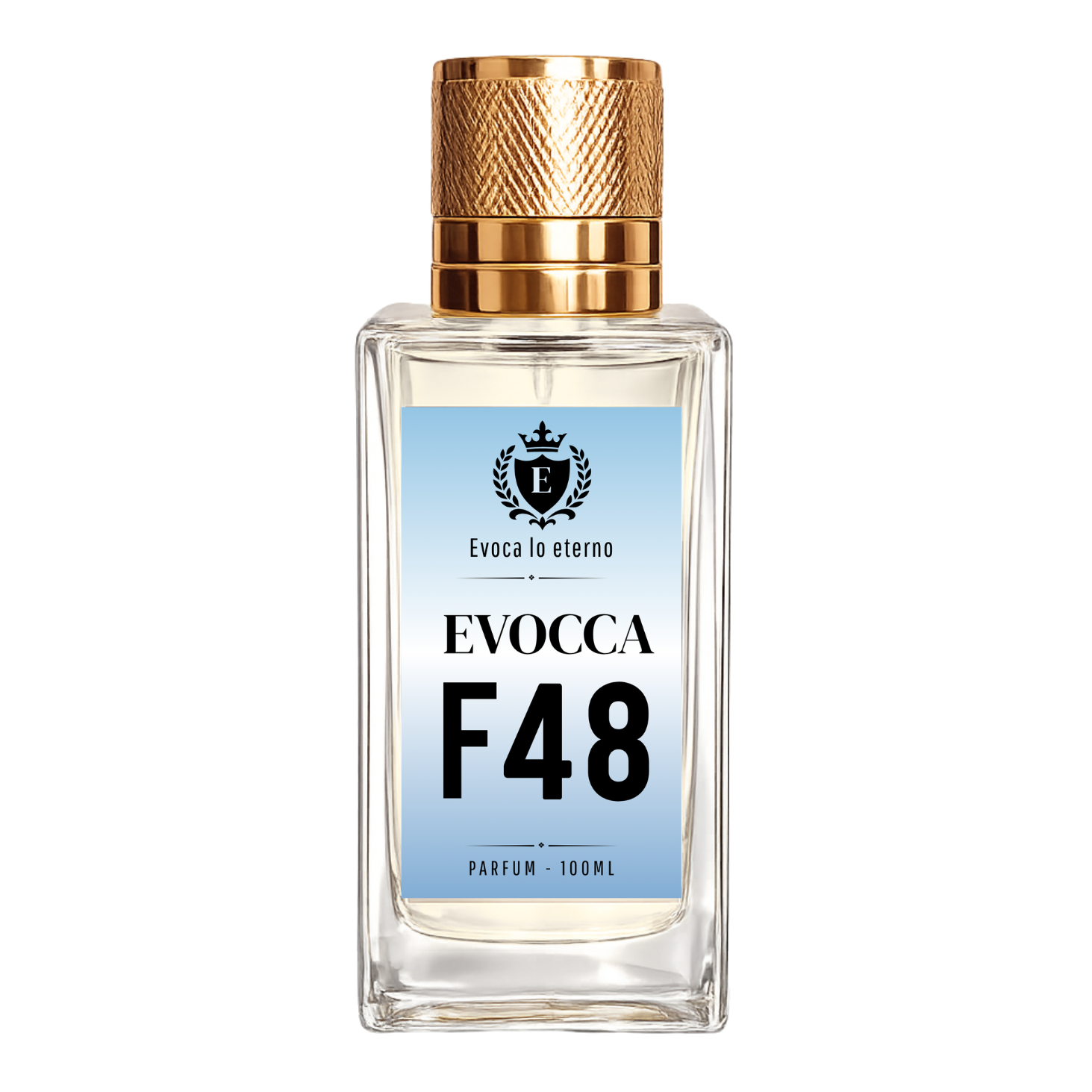 Evocca F48 Parfum 100ml Mujer (Dolce & Gabbana Light Blue)