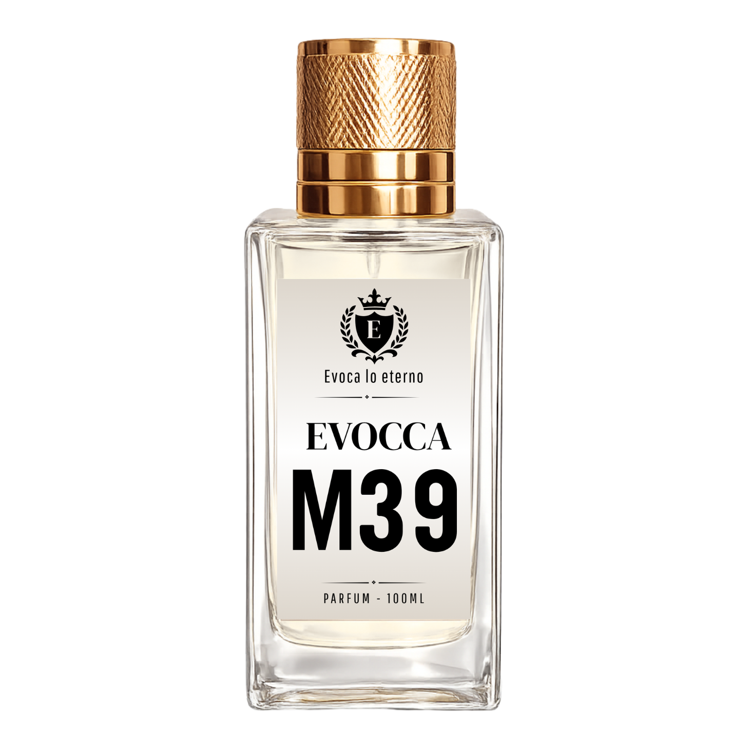 Evocca M39 Parfum 100ml Hombre (Armani Acqua di Gio)