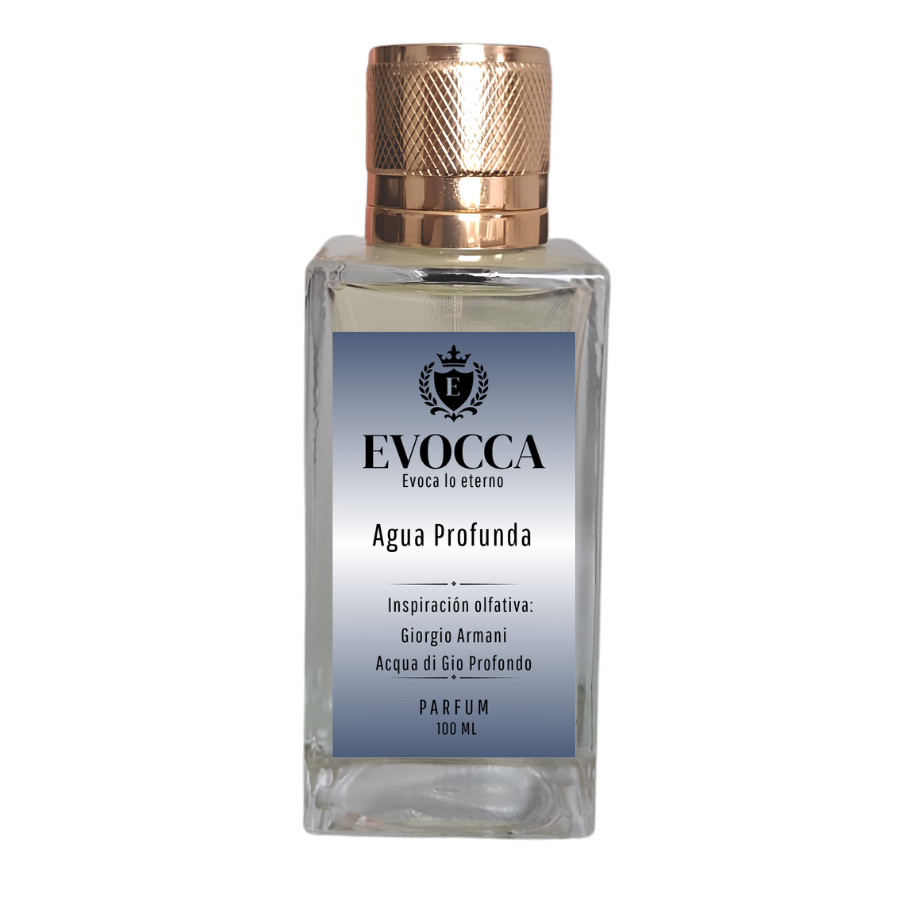 Evocca Agua Profunda Parfum 100ml Hombre (M91 Acqua di Gio Profondo men)