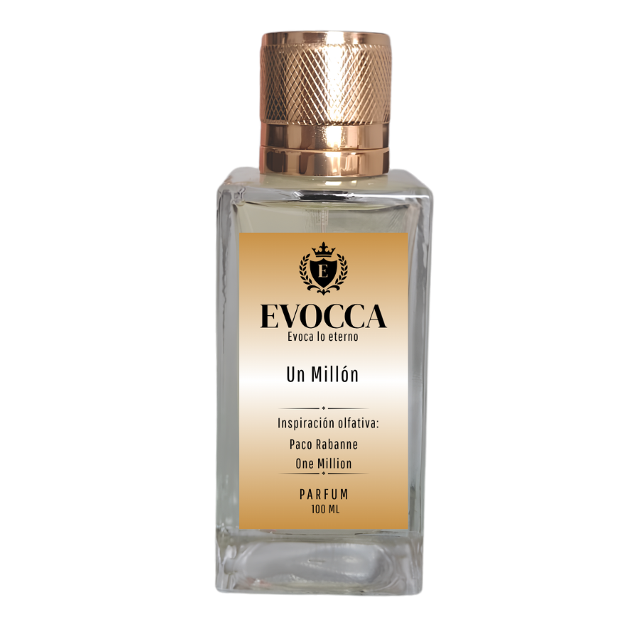 Evocca Un Millón Parfum 100ml Hombre (M27 One Million Men)