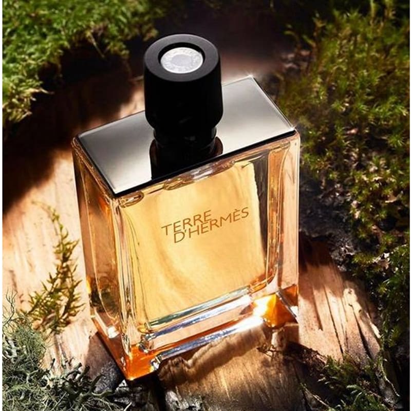 https://www.perfumisimo.cl/cdn/shop/files/hermes-terre-dhermes-edt-50ml-hombre-toilette-perfumisimo-perfumes-y-colonias-188_800x.jpg?v=1698278909