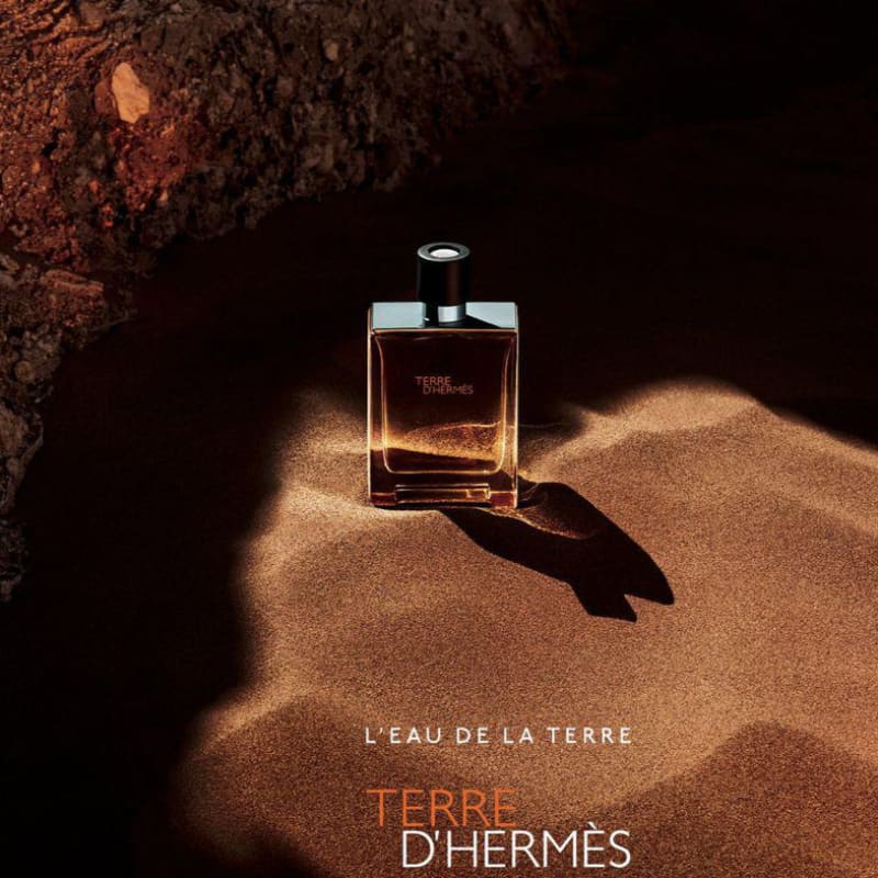 Hermes Terre D’Hermes edt 50ml Hombre - Perfumisimo