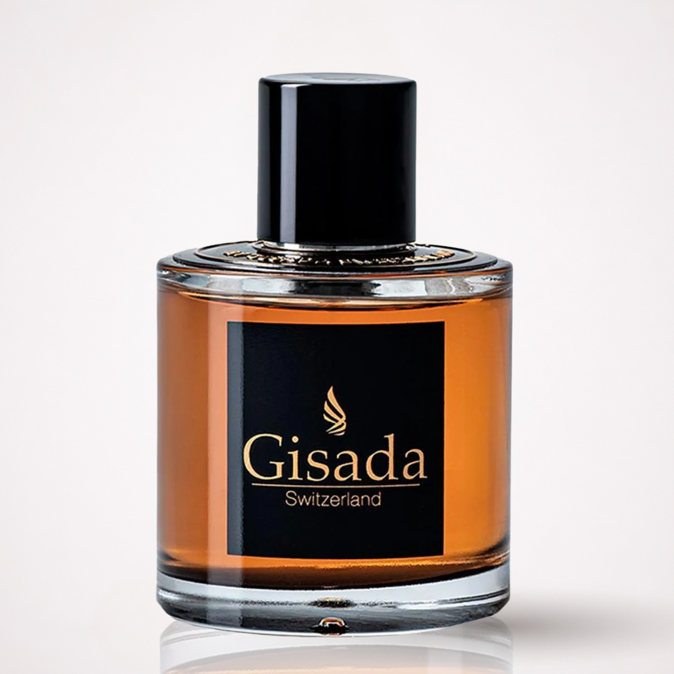 Gisada Switzerland Ambassador Black for Men 100ml Edp Hombre