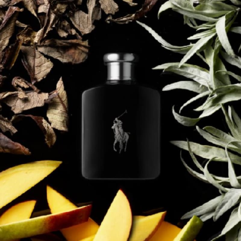 Ralph Lauren Polo Black edt 125ml Hombre - Ralph Lauren - Default Title - Perfumisimo